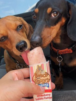 Frozen Yogrzz